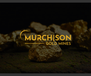 Logo Design by designprotox for this project | Design: #24088446