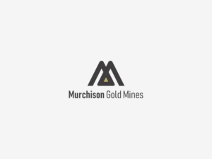 Logo Design by liorg1