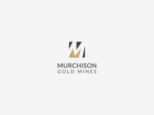 Logo Design by liorg1 for this project | Design: #24100720
