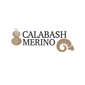 Diseño de Logo por vigie para este proyecto | Diseño #24139217