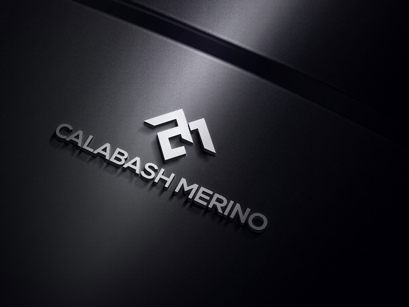 Logo Design by dg2 for this project | Design #24056449