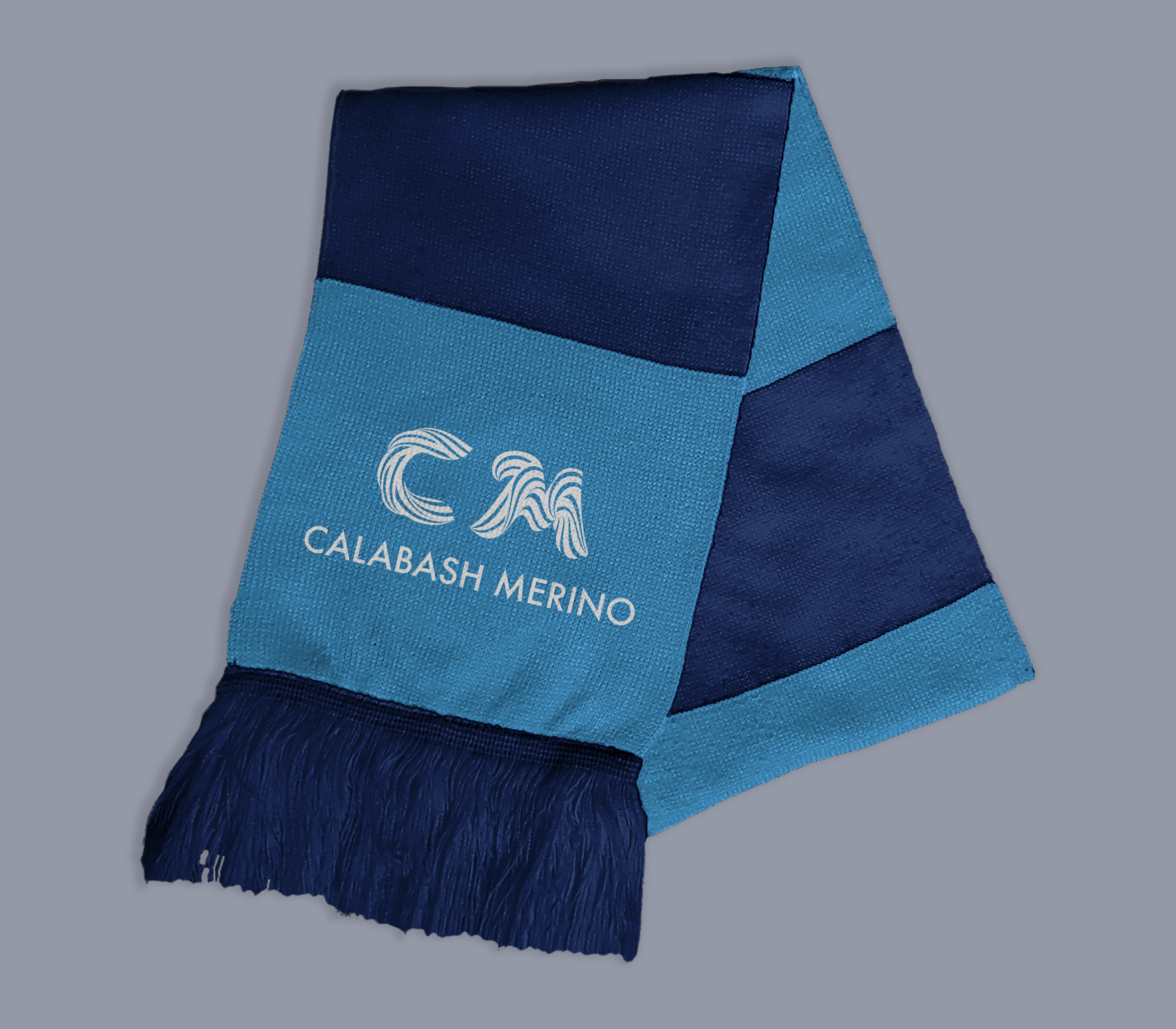 Logo Design by Paresh Sukhejas for this project | Design #24050919