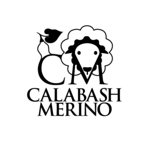 Diseño de Logo por ileanalp para este proyecto | Diseño #24079547
