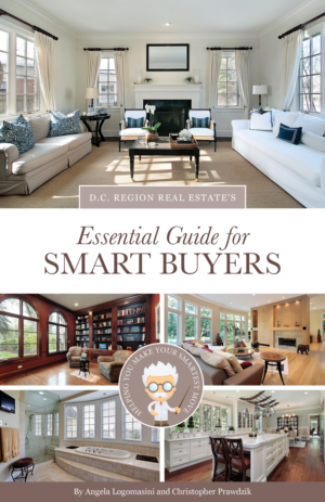 Book Cover Design by Natasha Board for this project | Design: #24066549