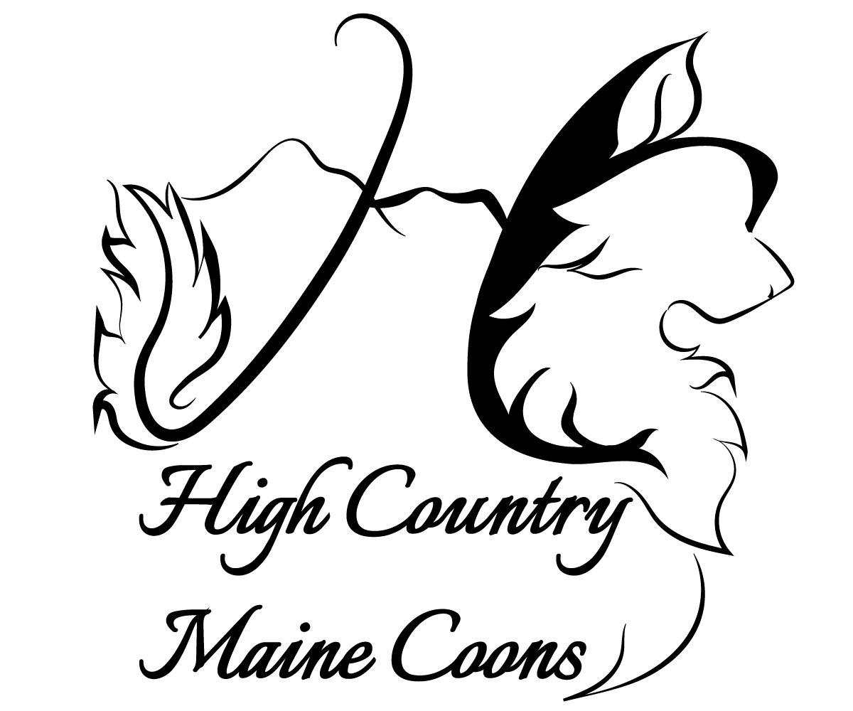 Logo Design by JLJ for High Country Maine Coons | Design #24099618