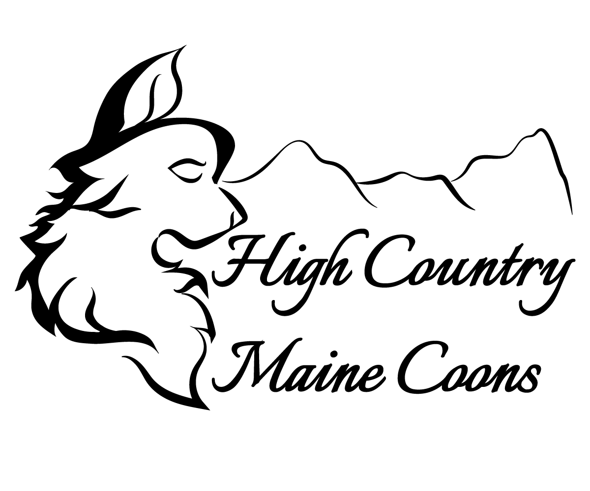 Logo Design by JLJ for High Country Maine Coons | Design #24099720