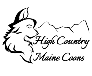 Logo Design by JLJ for High Country Maine Coons | Design: #24099720