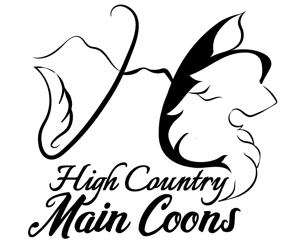 Design de Logo par JLJ pour High Country Maine Coons | Design #24100523