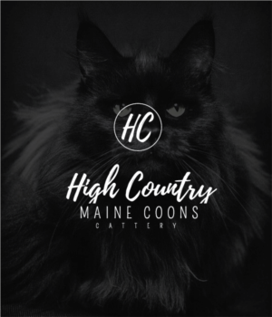 Logo-Design von Graphic Bomb für High Country Maine Coons | Design #24119293