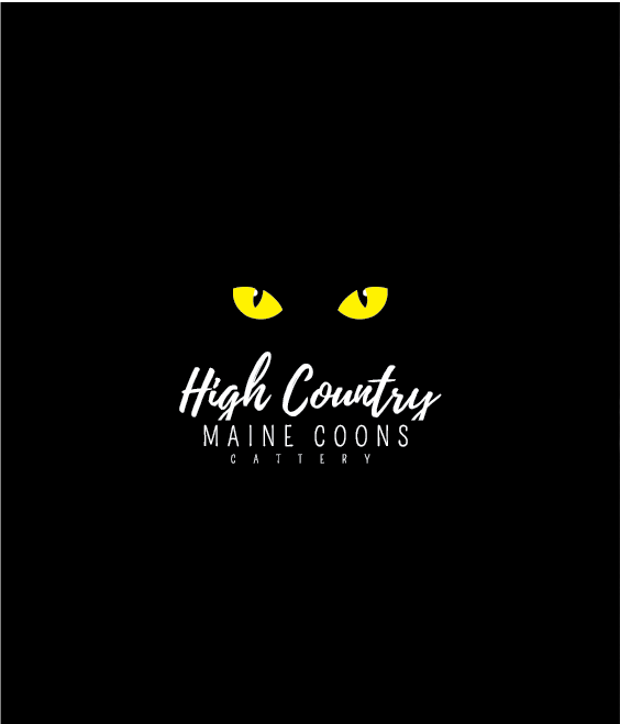Logo Design by Graphic Bomb for High Country Maine Coons | Design #24121937