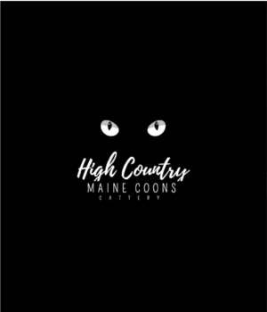 Logo Design by Graphic Bomb for High Country Maine Coons | Design: #24121938