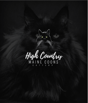 Logo Design by Graphic Bomb for High Country Maine Coons | Design: #24134624