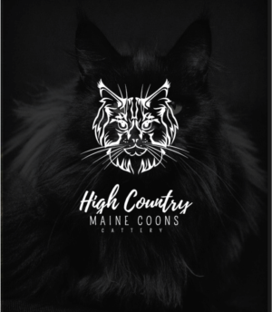 Logo Design by Graphic Bomb for High Country Maine Coons | Design: #24145805