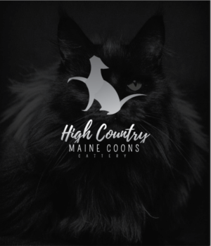 Logo Design by Graphic Bomb for High Country Maine Coons | Design: #24155289
