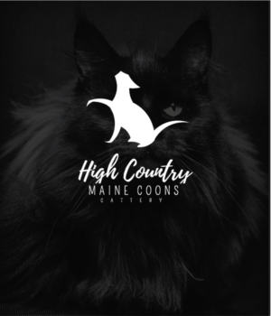 Logo Design by Graphic Bomb for High Country Maine Coons | Design: #24155290