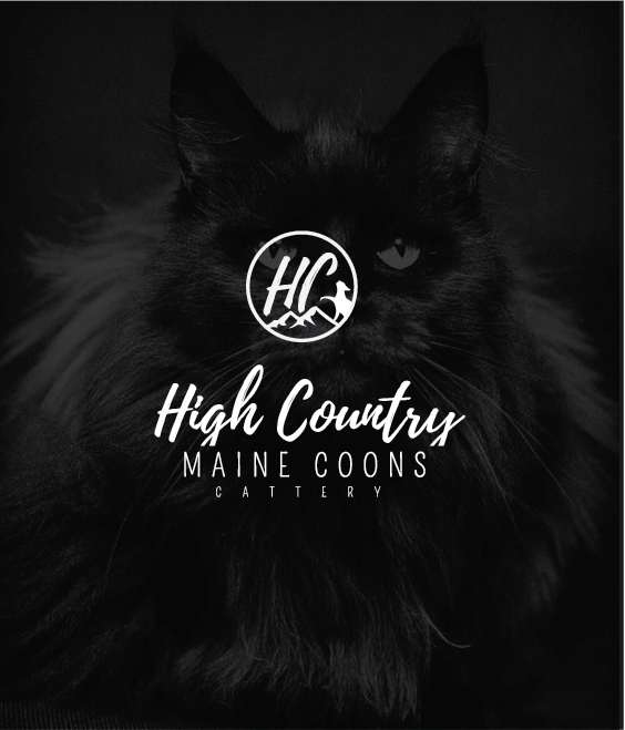 Design de Logo par Graphic Bomb pour High Country Maine Coons | Design #24159466