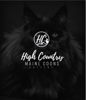 Logo Design by Graphic Bomb for High Country Maine Coons | Design: #24159466