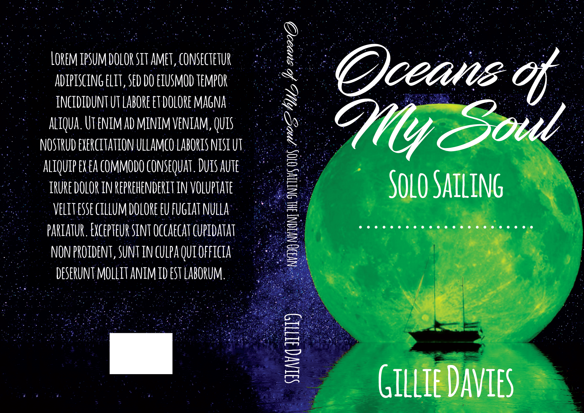 Book Cover Design by buana, sathya for Gillie Sails Solo | Design #24098698
