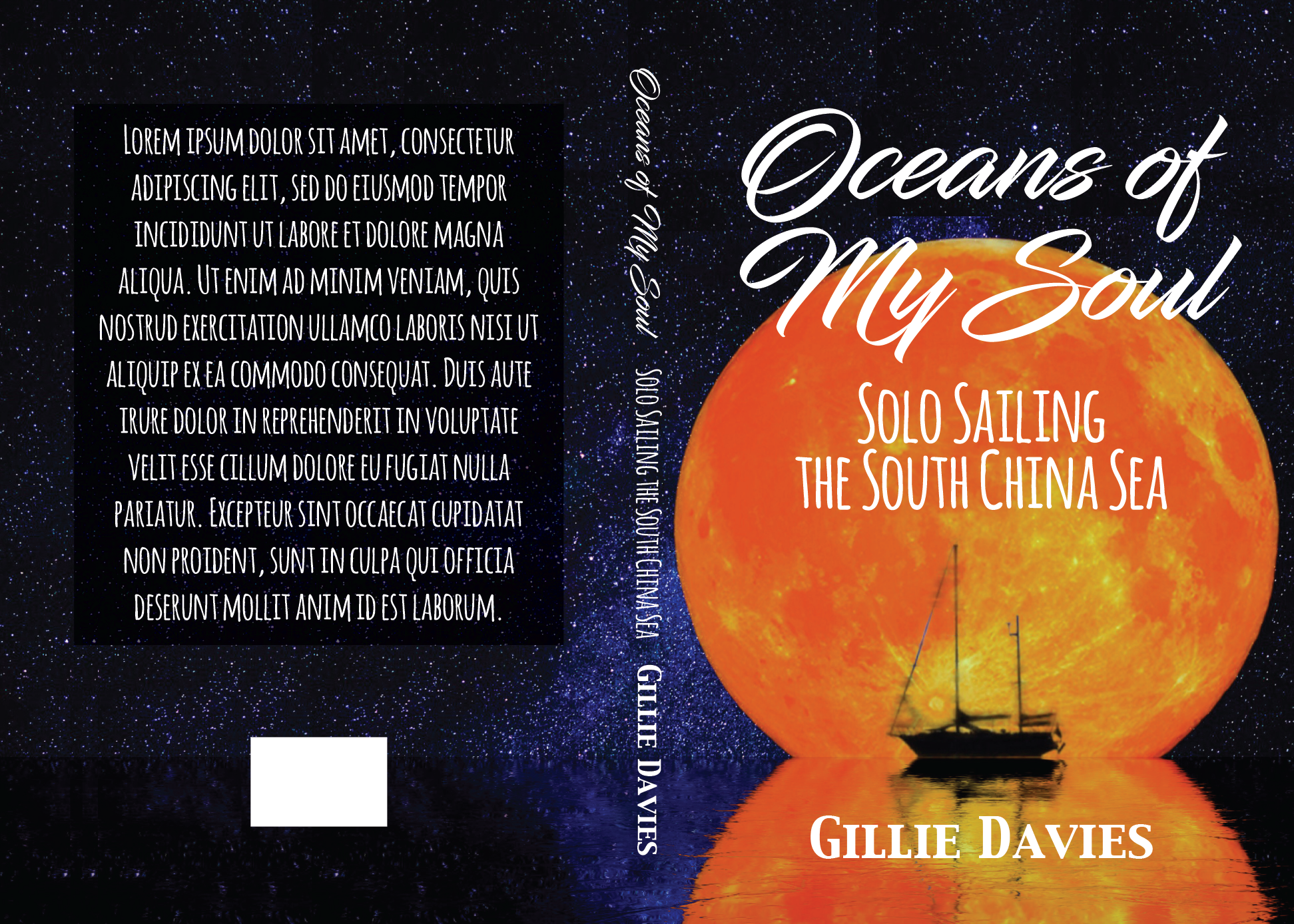 Book Cover Design by buana, sathya for Gillie Sails Solo | Design #24121015