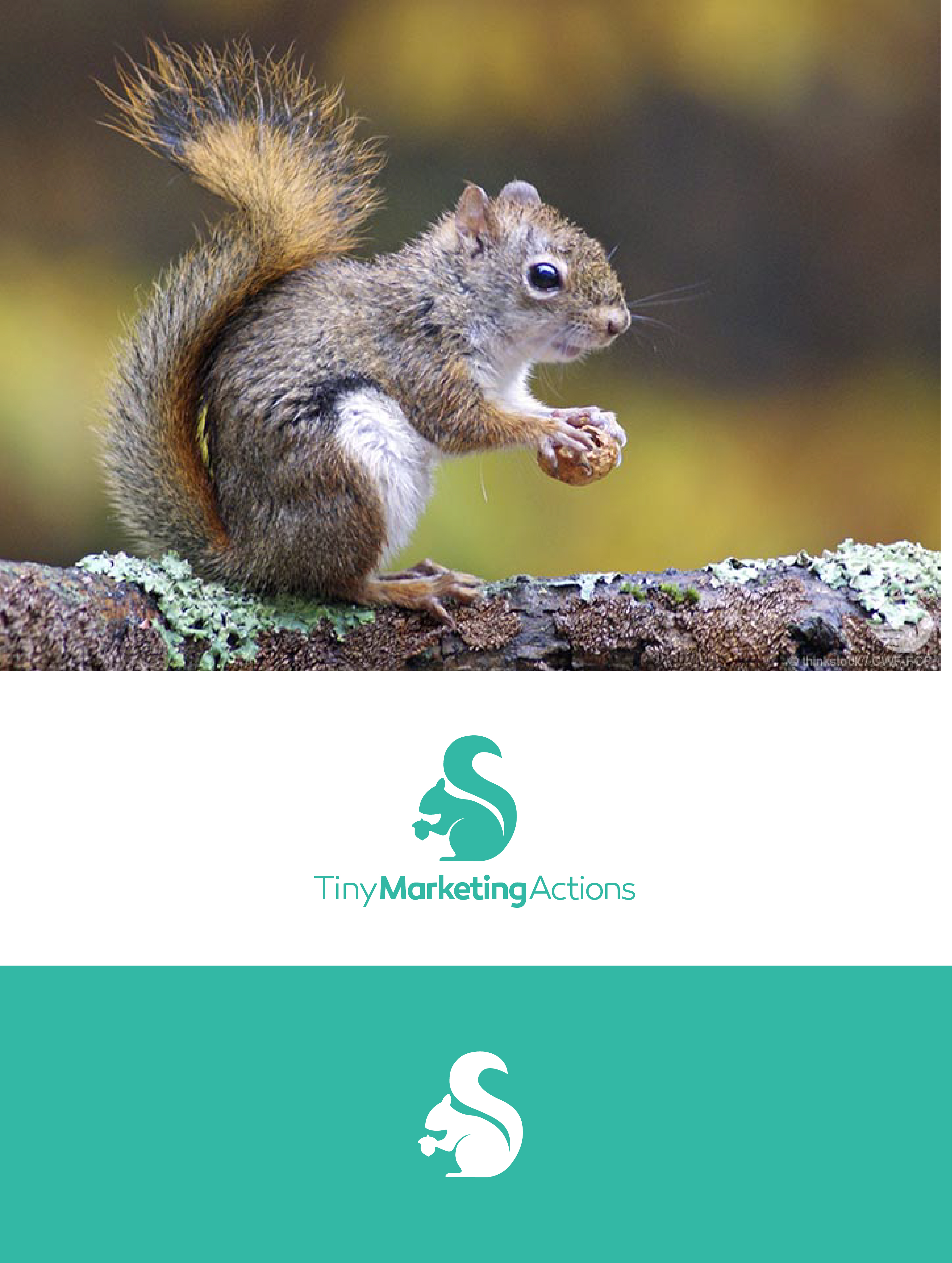 Logo Design by slaven.kopitovic for this project | Design #24085232