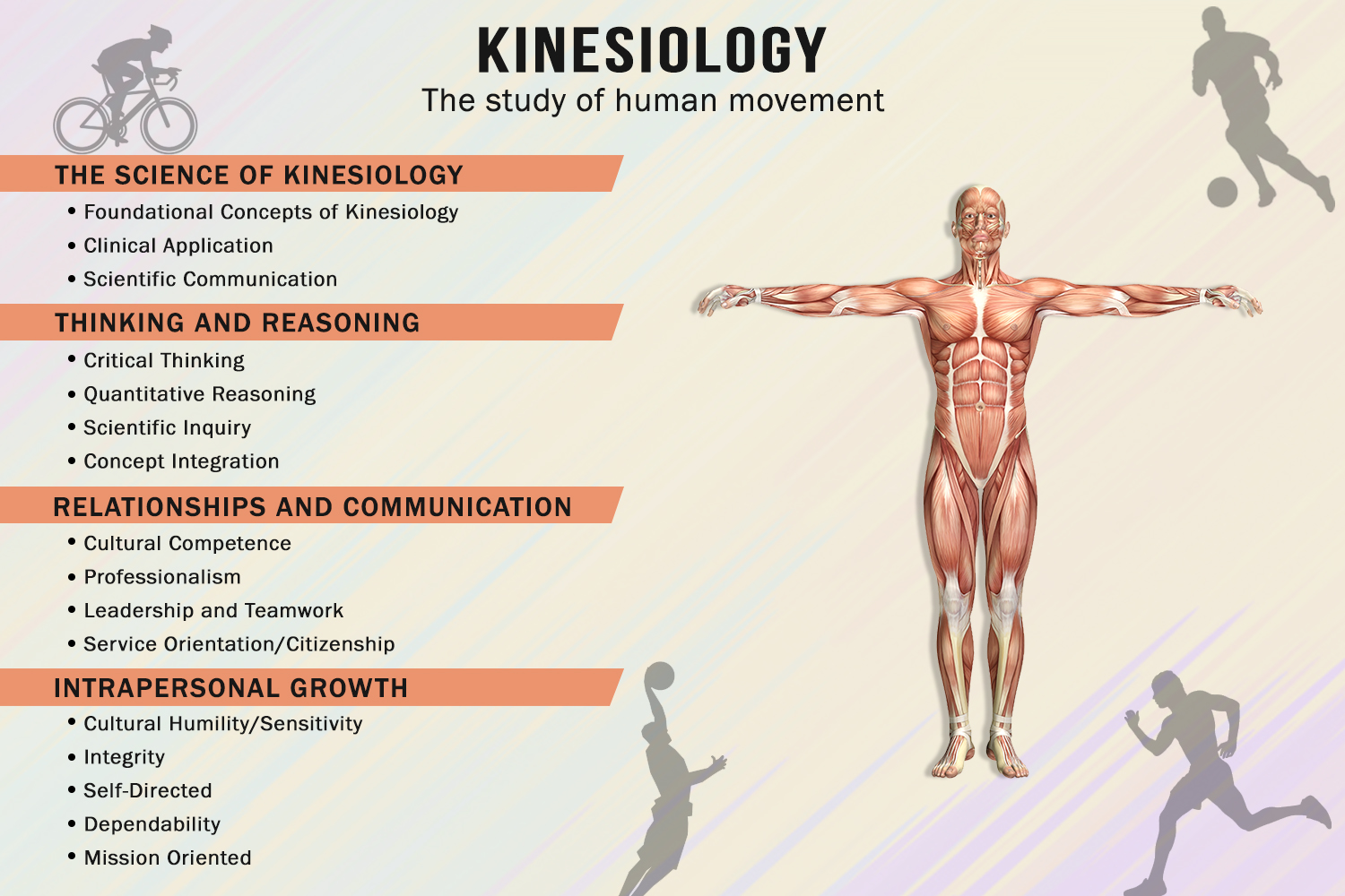 Infographic Design by TGDesigns for this project | Design #24146122