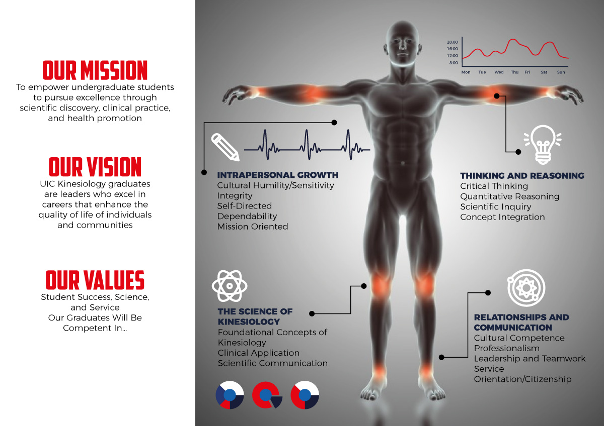 Infographic Design by Sarina.dsg for this project | Design #24092102