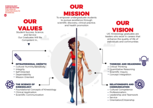 Infographic Design by Sarina.dsg for this project | Design: #24179746