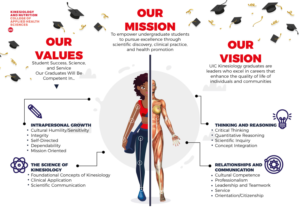 Infographic Design by Sarina.dsg for this project | Design: #24183669