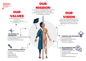 Infographic Design by Sarina.dsg for this project | Design: #24247844