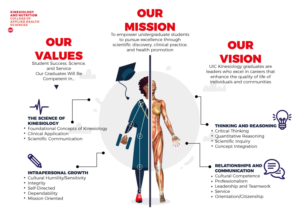 Infographic Design by Sarina.dsg for this project | Design: #24247845