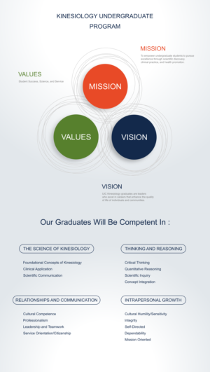 Infographic Design by Matu
