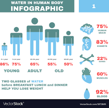 Infographic Design by JatoDesign