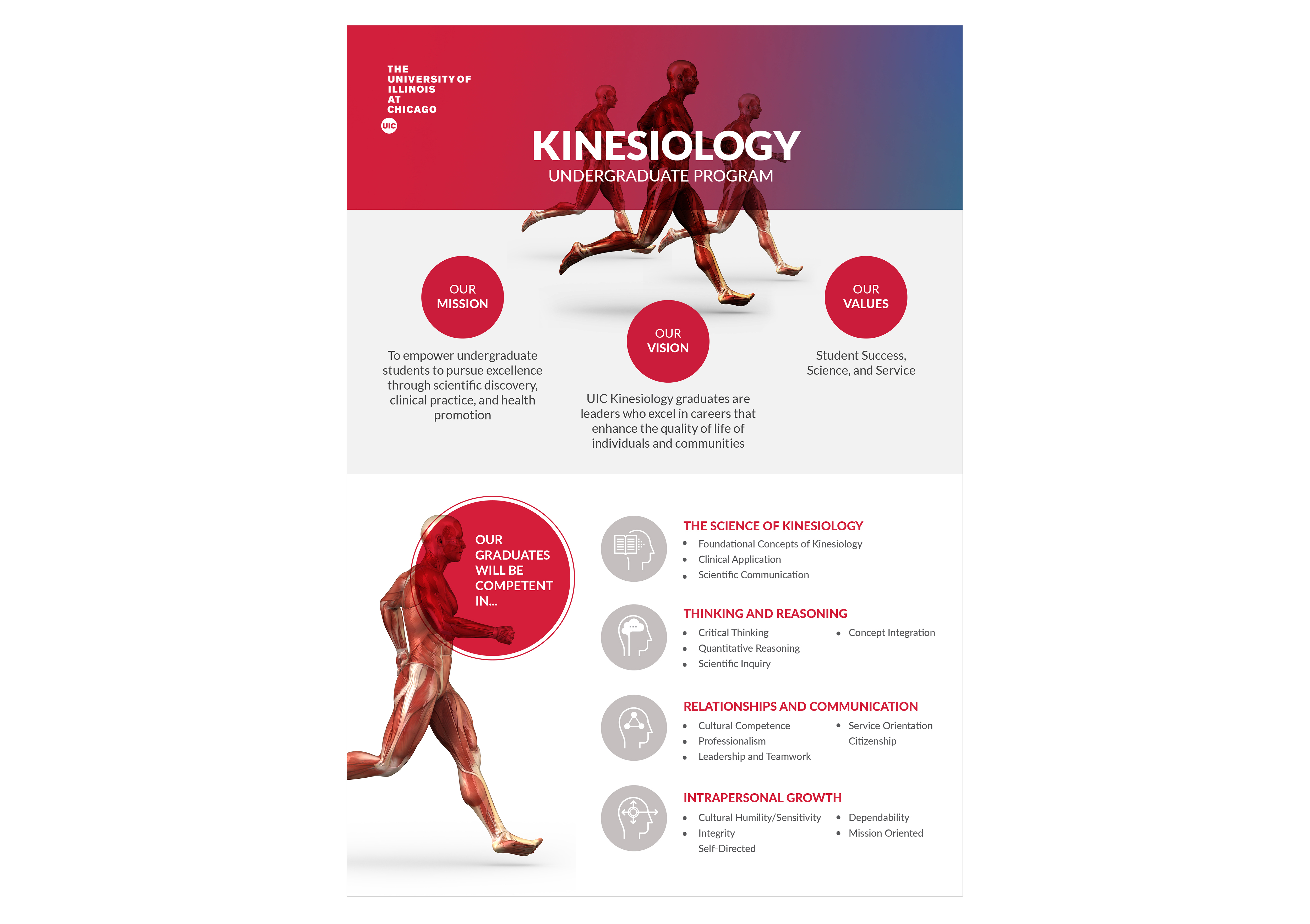 Infographic Design by fernandasuzk for this project | Design #24160224