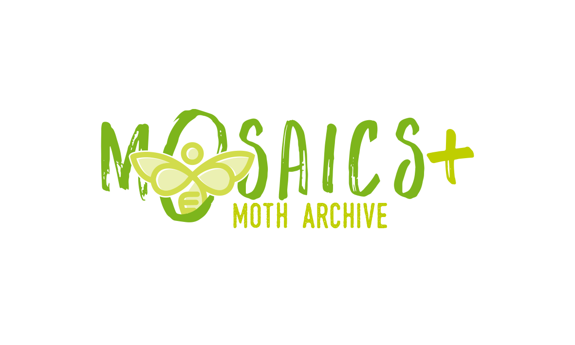 Logo-Design von trufya für dieses Projekt | Design #24111790