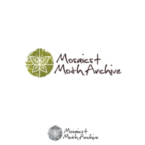 Mosaics + Moth Archive | Logo-Design von iamrady