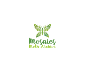 Logo-Design von Muhammad Imran 3 für dieses Projekt | Design: #24088340