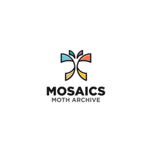 Mosaics + Moth Archive | Logo Design by Rusmin Gustamin
