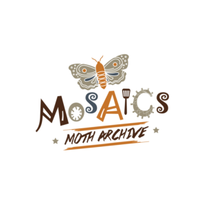 Logo Design by geni for this project | Design #24094810