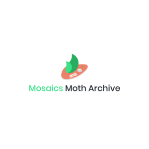 Logo Design by S K Designs