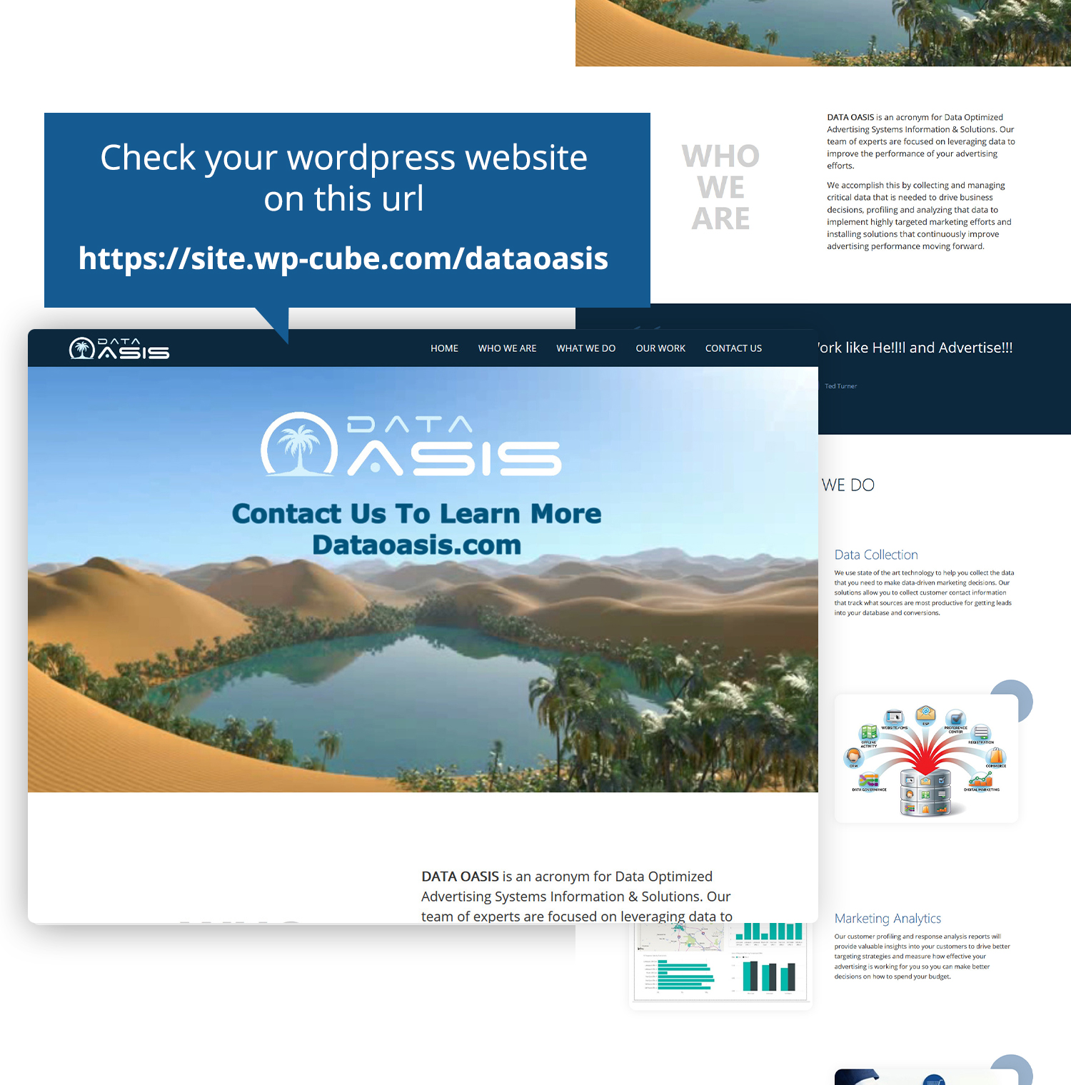 Web-Design von WP Cube für dieses Projekt | Design #24092796