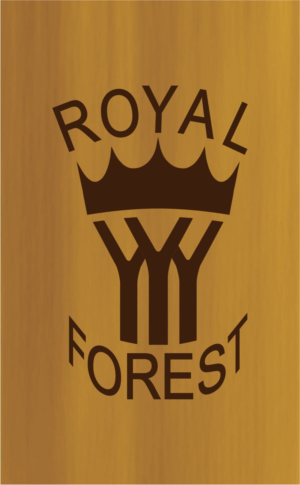 Logo Design by vkhoruzhenko