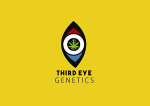 Logo Design by Macaw