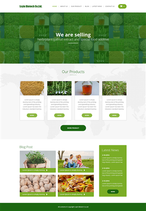 Wordpress Design by Empireweb