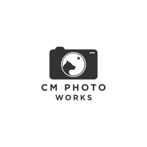 Logo Design by afnan 3