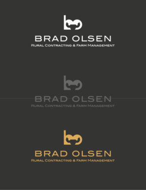 Logo Design by Branislav 0308 for this project | Design: #24153181