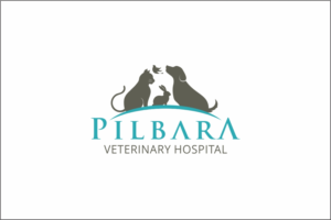 Logo Design by Robert Macwan