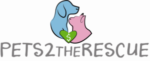 Diseño de Logo por Caitlin Torres para este proyecto | Diseño: #24157381