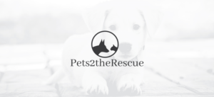 Logo Design by shazzadul