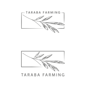 Logo Design by Ana 15