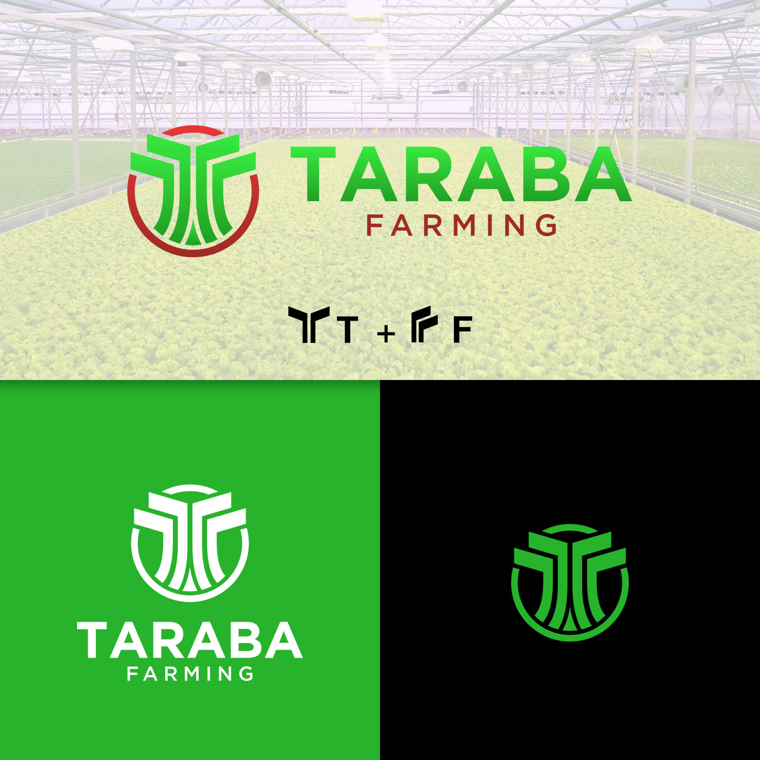 Logo Design by RenCan for this project | Design #24114193